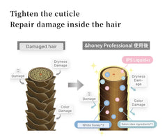 ViCREA - &honey Professional iPS System Repair
Booster Treatment