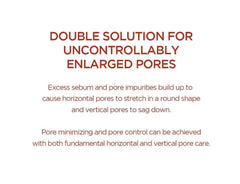 Skin1004 pore-mizing  ampoule